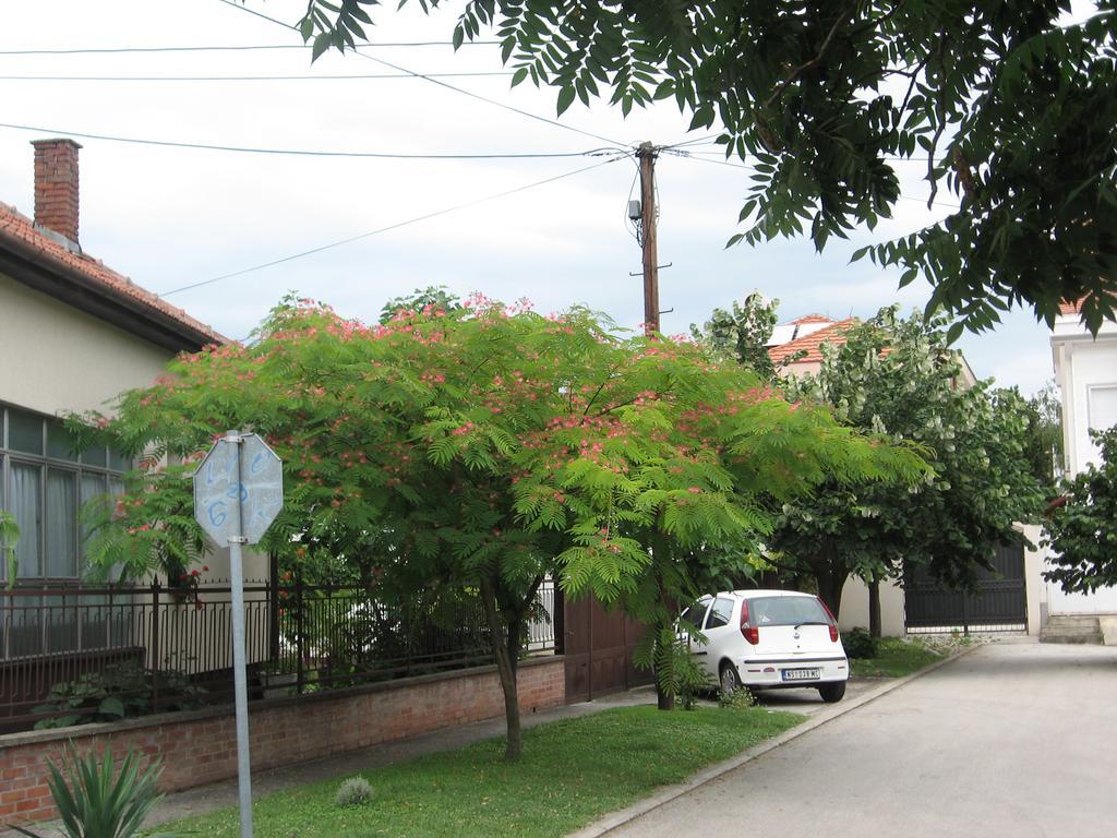 Green Apartment Novi Sad Exteriör bild