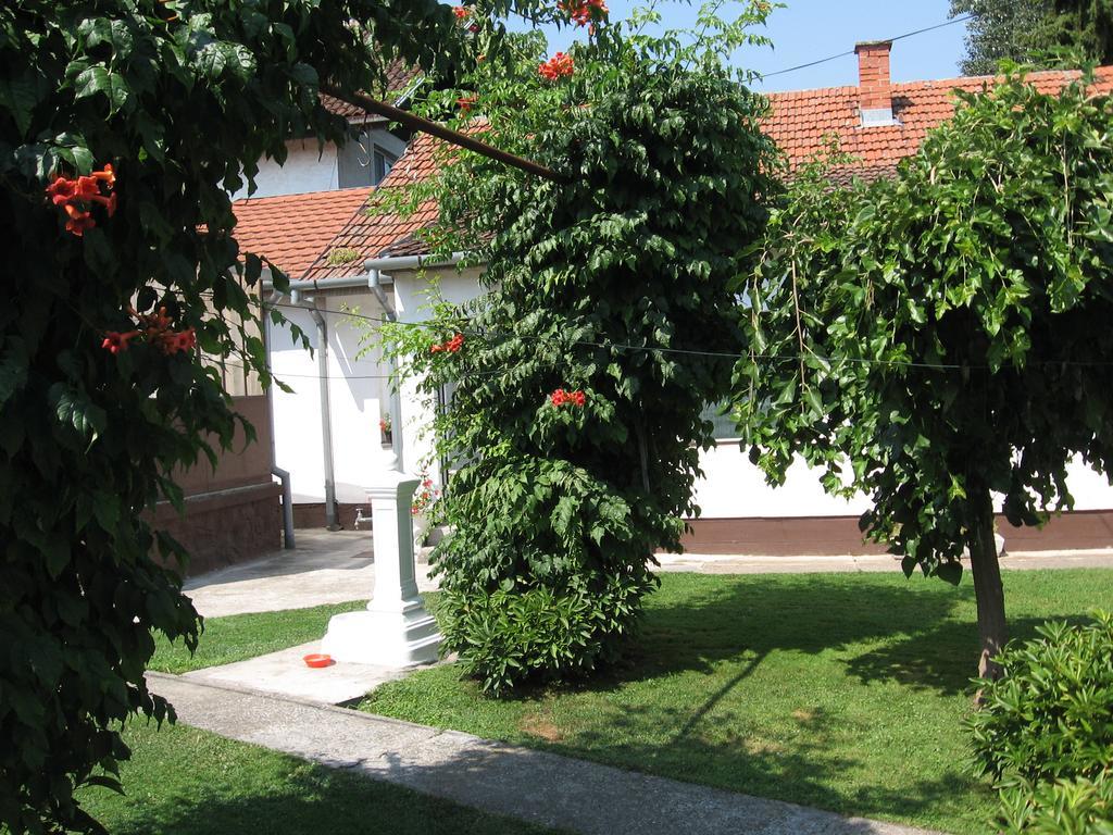 Green Apartment Novi Sad Exteriör bild